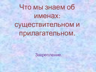 Что мы знаем об именах: существительном и прилагательном