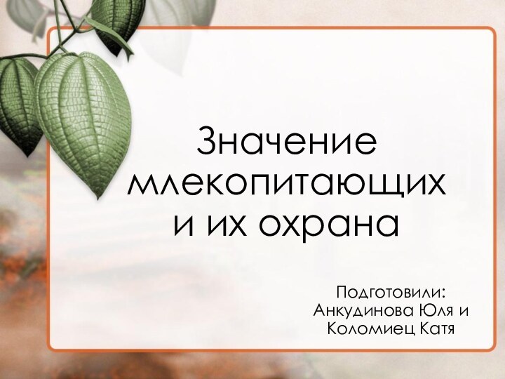 Значение млекопитающих и их охранаПодготовили: Анкудинова Юля и Коломиец Катя