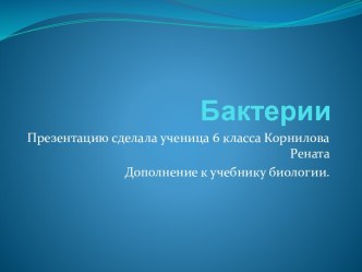 Бактерии