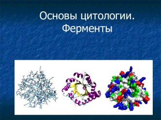 Основы цитологии. Ферменты