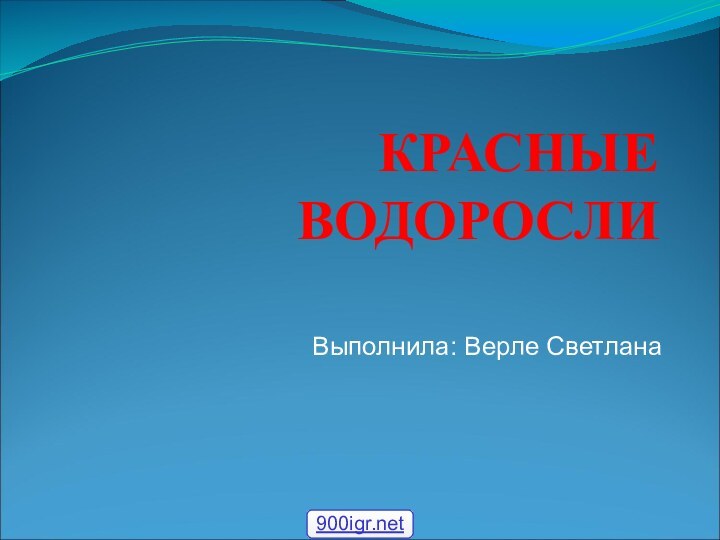 КРАСНЫЕ ВОДОРОСЛИВыполнила: Верле Светлана