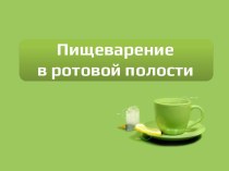 Пищеварение в ротовой полости 8 класс