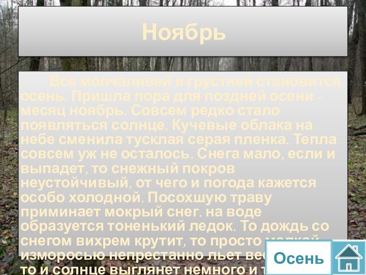 НоябрьВсе молчаливей и грустней становится осень. Пришла пора для поздней осени -