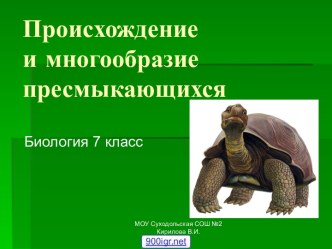 Биология 7 класс пресмыкающиеся