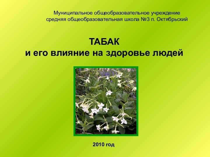 ТАБАК и его влияние на здоровье людей2010 годМуниципальное общеобразовательное учреждение средняя общеобразовательная школа №3 п. Октябрьский