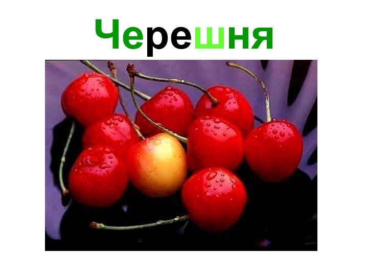 Черешня