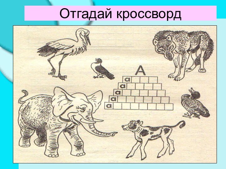 Отгадай кроссворд