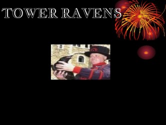 Tower ravens