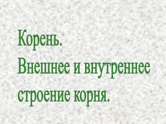 Корень. Внешнее и внутреннее строение корня