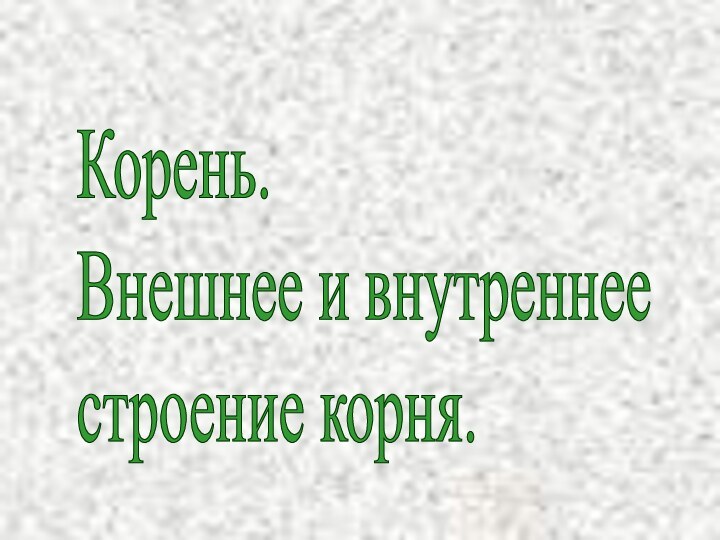 Корень.  Внешнее и внутреннее  строение корня.