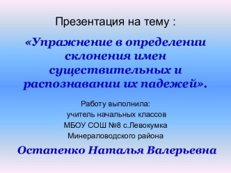 Упражнение в определении склонения имен существительных и распознавании их падежей