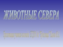 Животные севера