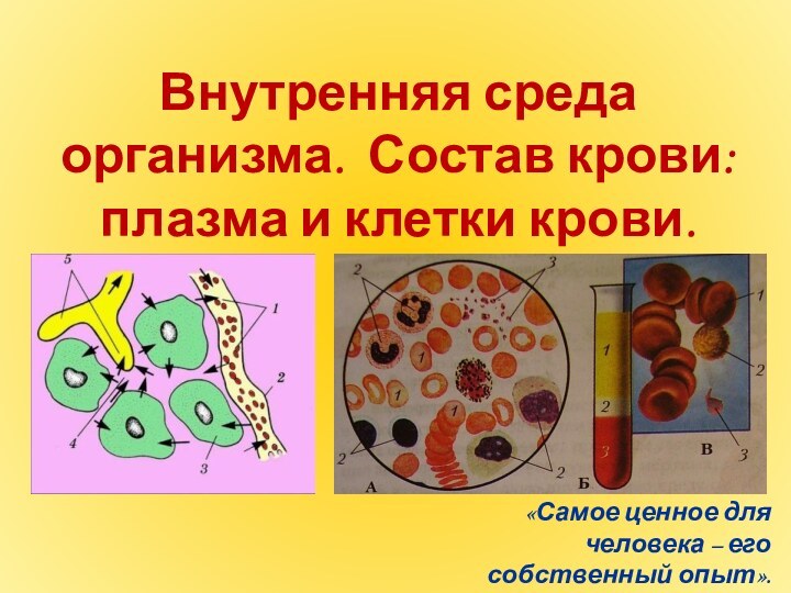 Внутренняя среда организма. Состав крови: плазма и клетки крови.«Самое ценное для человека