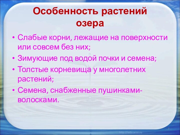 Особенность растений озераСлабые корни, лежащие на поверхности или совсем без них;Зимующие под