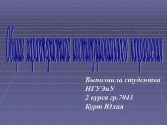 Общая характеристика институционального направления