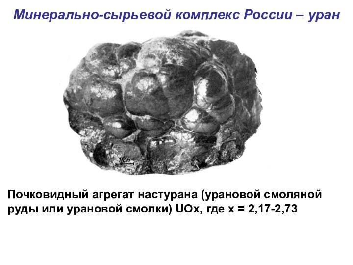 Минерально-сырьевой комплекс России – уран Почковидный агрегат настурана (урановой смоляной руды или