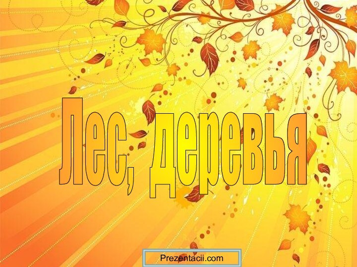 Лес, деревьяPrezentacii.com