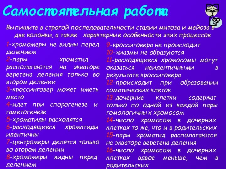 Самостоятельная работаВыпишите в строгой последовательности стадии митоза и мейоза в две колонки,