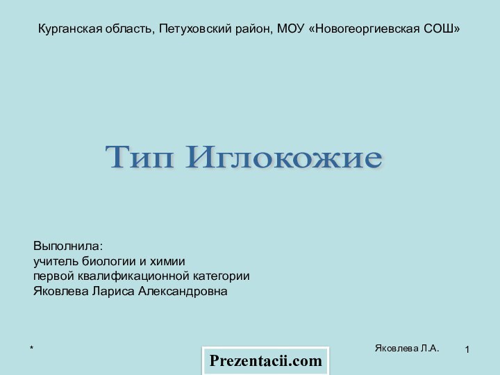 *Яковлева Л.А.Курганская область, Петуховский район, МОУ «Новогеоргиевская СОШ»Тип Иглокожие Выполнила:учитель биологии и