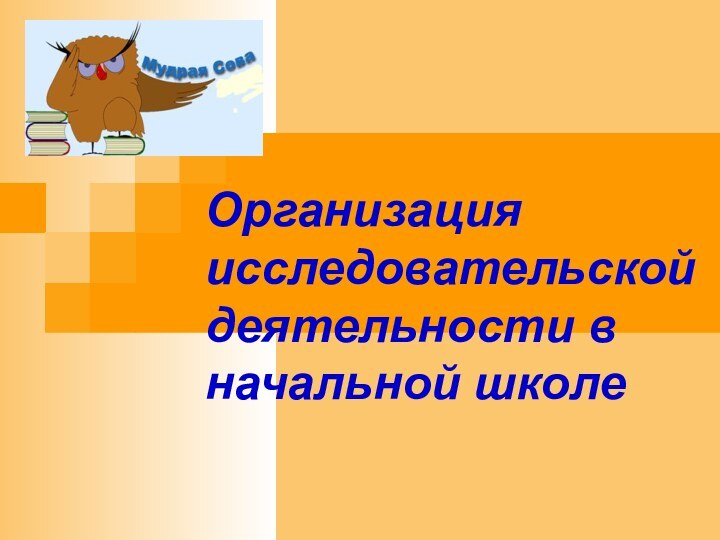 Организация исследовательской деятельности в начальной школе