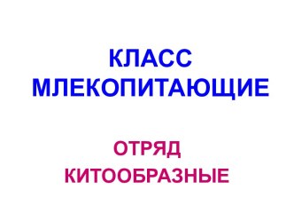 млекопитающие китообразные