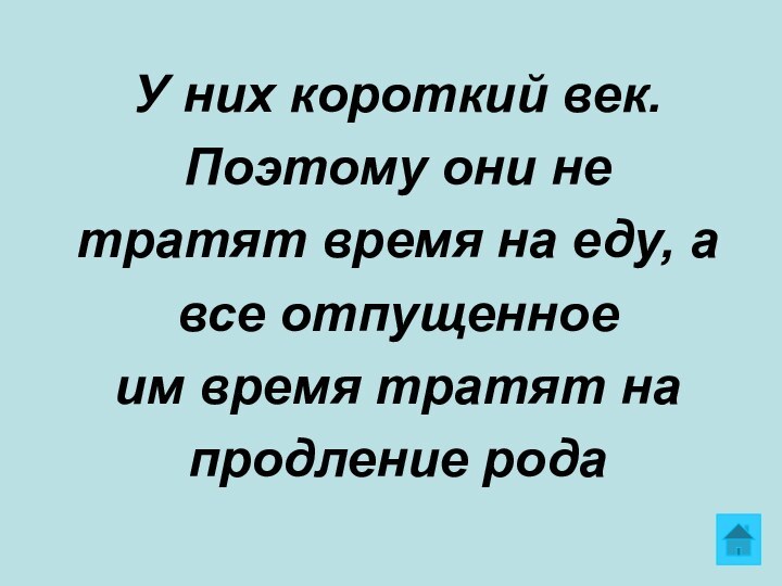 У них короткий век.Поэтому они нетратят время на еду, авсе отпущенноеим время тратят напродление рода