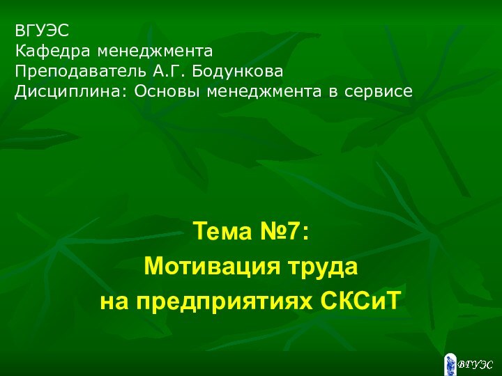 Тема №7:Мотивация труда на предприятиях СКСиТВГУЭСКафедра менеджментаПреподаватель А.Г. БодунковаДисциплина: Основы менеджмента в сервисе