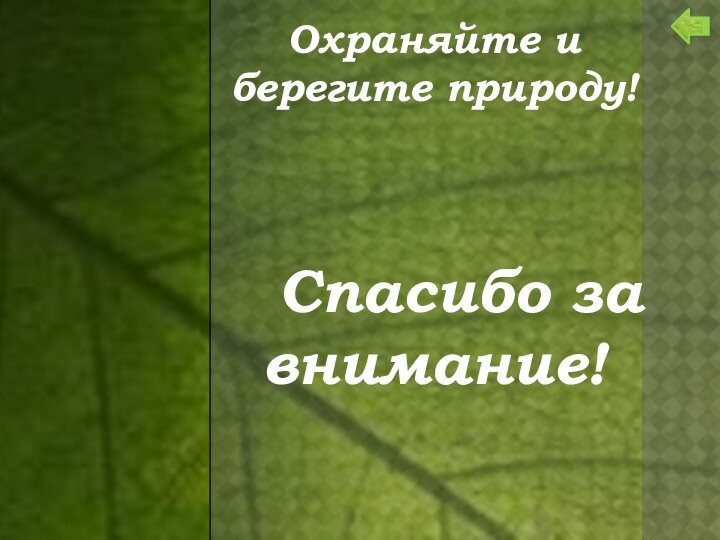 Охраняйте и берегите природу!      Спасибо за