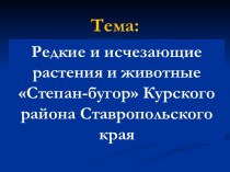 Редкие и исчезающие растения и животные Степан-бугор Курского района Ставропольского края