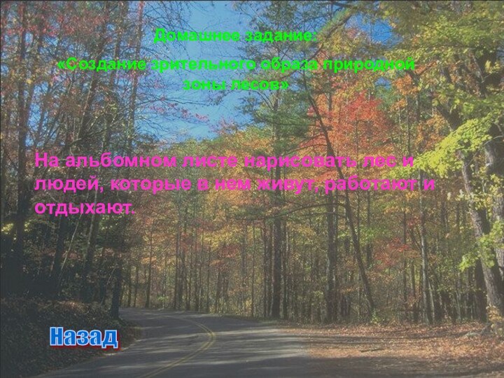 Домашнее задание:«Создание зрительного образа природной зоны лесов»На альбомном листе нарисовать лес и