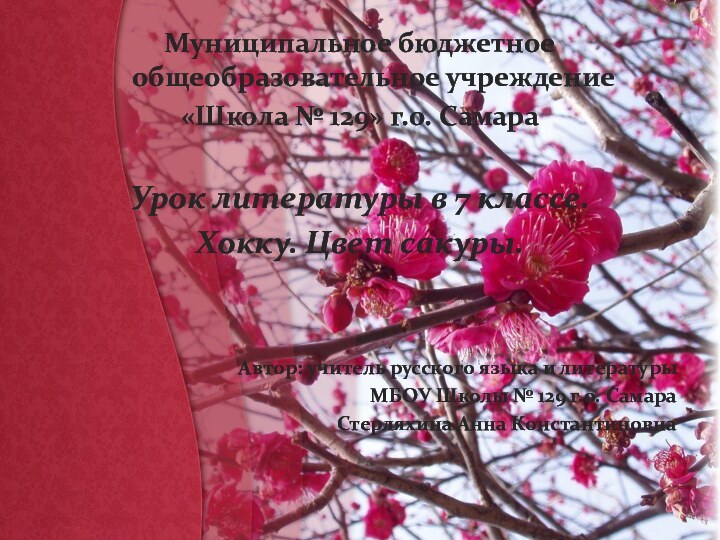 Муниципальное бюджетное общеобразовательное учреждение «Школа № 129» г.о. Самара Урок литературы в 7