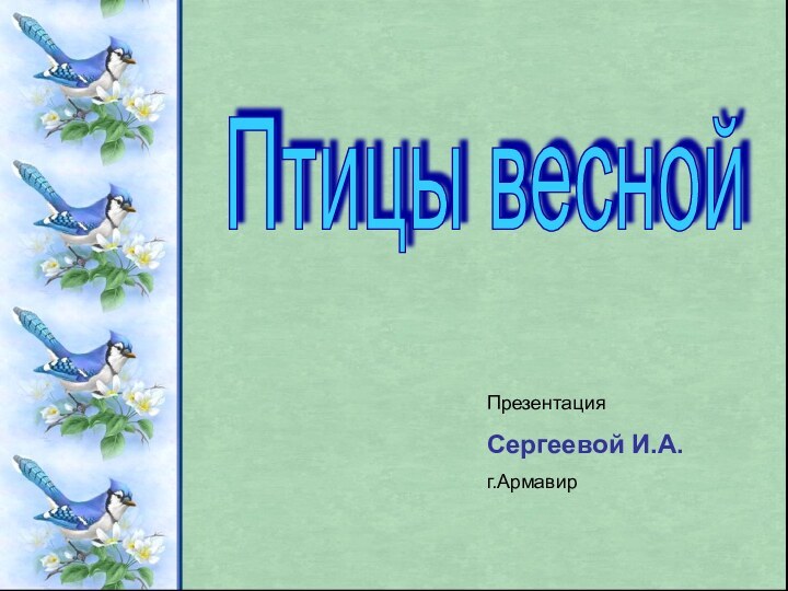 Птицы весной ПрезентацияСергеевой И.А.г.Армавир