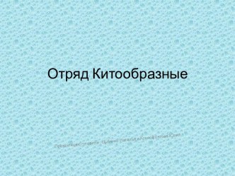 Отряд Китообразные