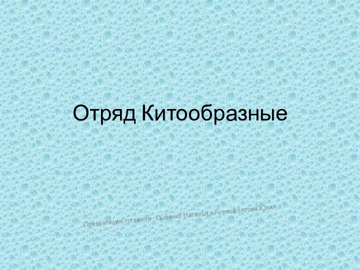 Отряд КитообразныеПрезентацию готовили : Цыбенко Наталья и Ксенофонтова Юлия