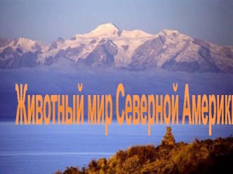 Животный мир