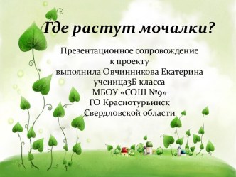 Где растут мочалки?