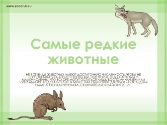 самые редкие животные