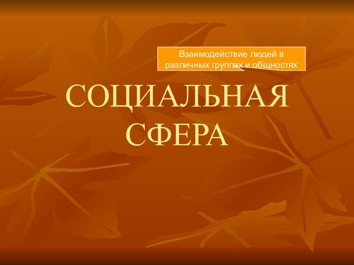 СОЦИАЛЬНАЯ СФЕРАВзаимодействие людей в различных группах и общностях