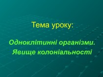 Одноклітинні організми. Явище колоніальності