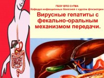 Вирусные гепатиты с фекально-оральным механизмом передачи