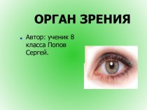 Орган зрения (8 класс)