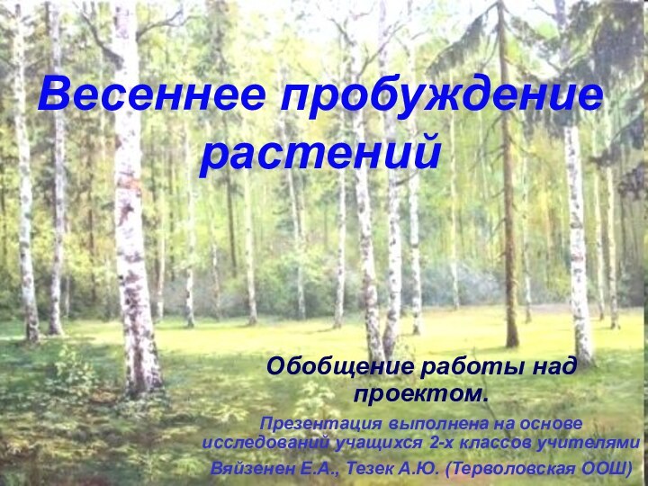 Весеннее пробуждение растенийОбобщение работы над проектом.Презентация выполнена на основе исследований учащихся 2-х