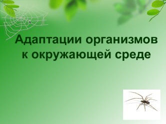 Адаптации организмов к окружающей среде