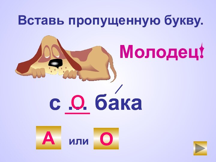 Вставь пропущенную букву.с … бакаАилиОс … бакаоМолодец!А