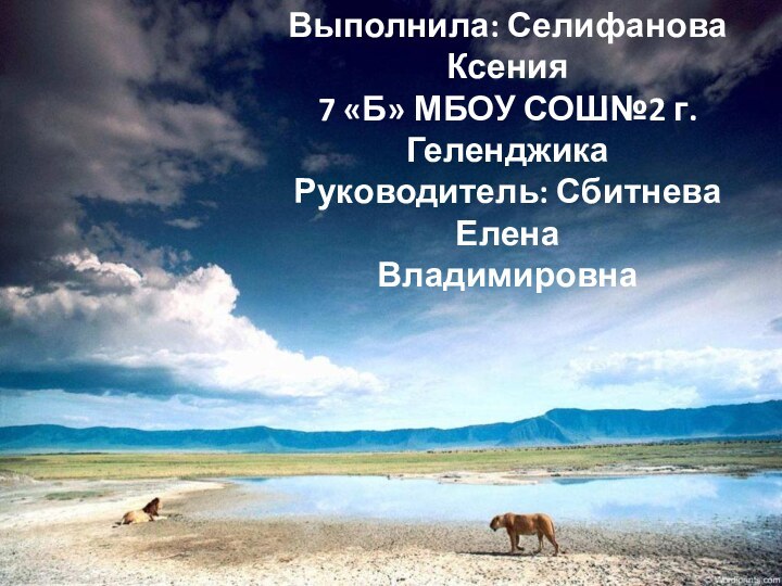 Выполнила: Селифанова Ксения7 «Б» МБОУ СОШ№2 г.ГеленджикаРуководитель: Сбитнева Елена Владимировна