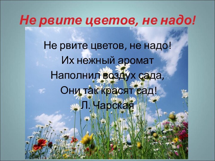 Не рвите цветов, не надо!Не рвите цветов, не надо!Их нежный ароматНаполнил воздух