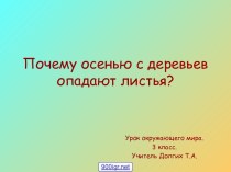 Листья деревьев осенью