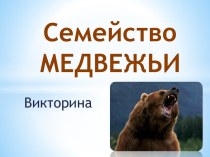 Викторина Медведи