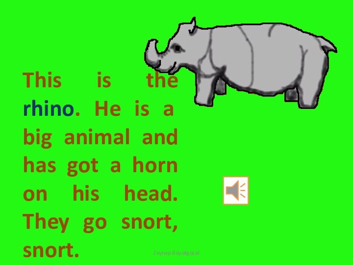 This is the rhino. He is a big animal and has got