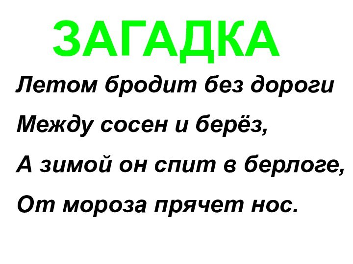 ЗАГАДКАЛетом бродит без дорогиМежду сосен и берёз,А зимой он спит в берлоге,От мороза прячет нос.